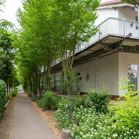 Schneeeule 226 Granzow