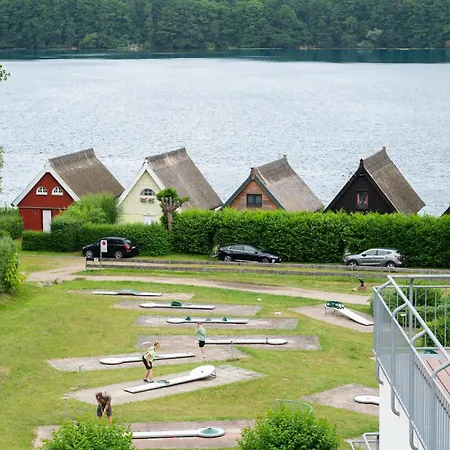 Schneeeule 226 Granzow